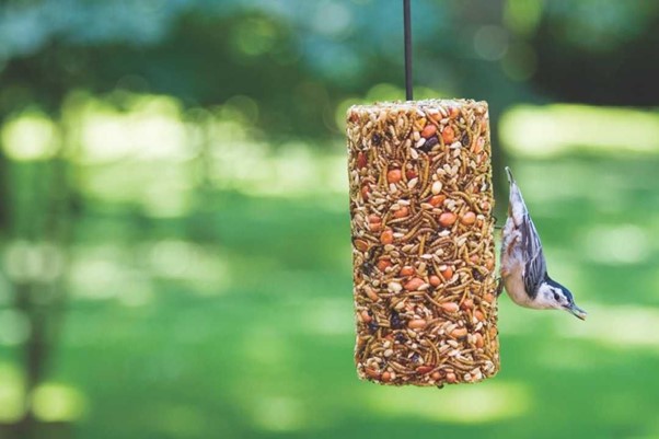 Menjadores d’ocells amb materials reciclats