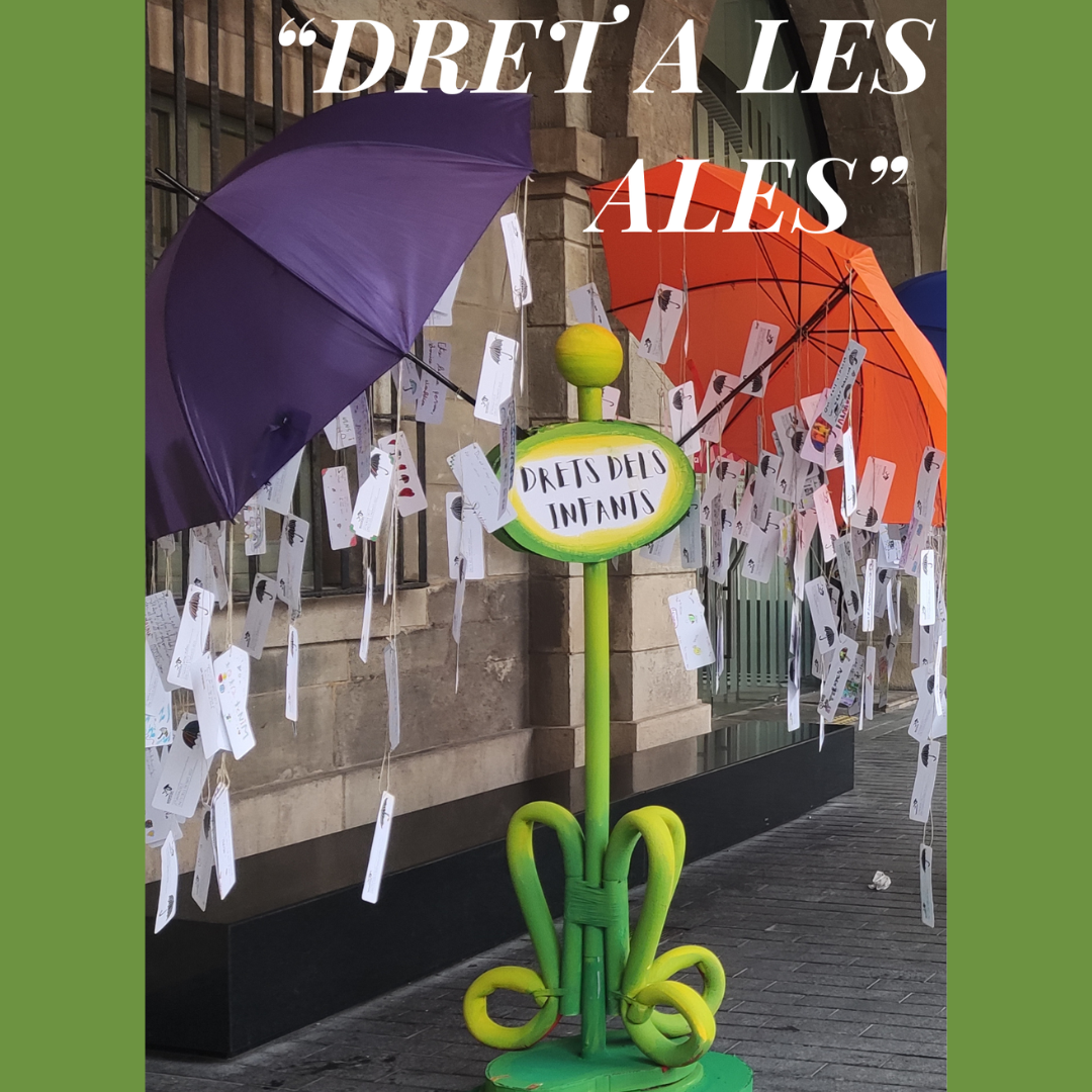 Exposició: “Dret a les ales” 