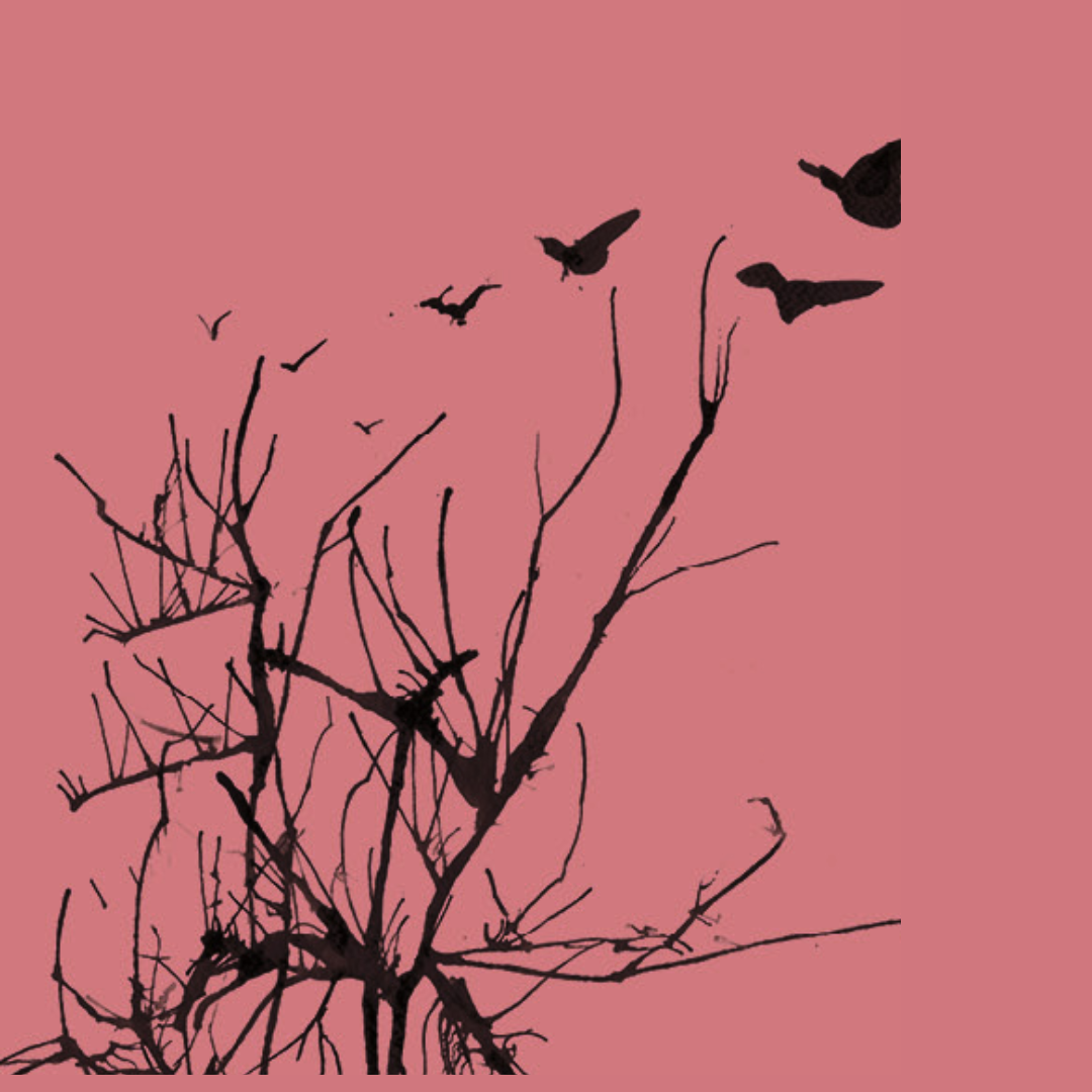 Taller: Maridatge filo-astronòmic. Mites, vi i cosmos. Vi DO Pla de Bages, tastests de proximitat, cosmos i filosofia.