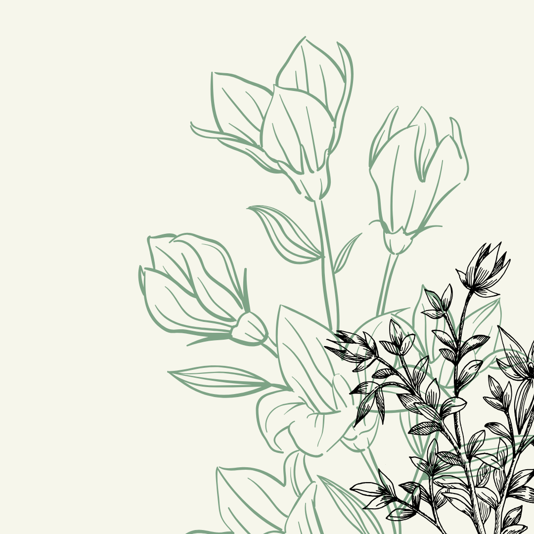 Taller - Xerrada: “Les plantes silvestres comestibles, un patrimoni culinari del Bages” a càrrec d’Elena Sixto