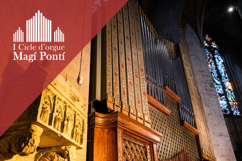 Visita comentada a l'orgue de la Seu