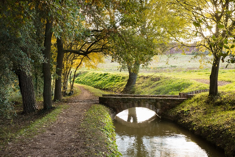 Itinerari de natura pel bosc de la sala