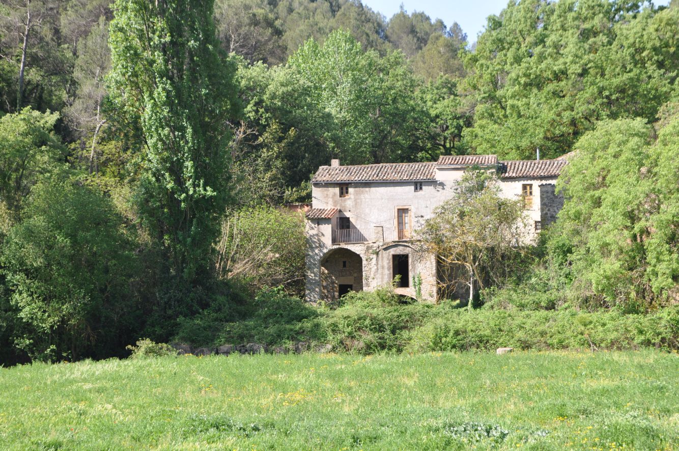 Visita guiada Molí de l’Alzina