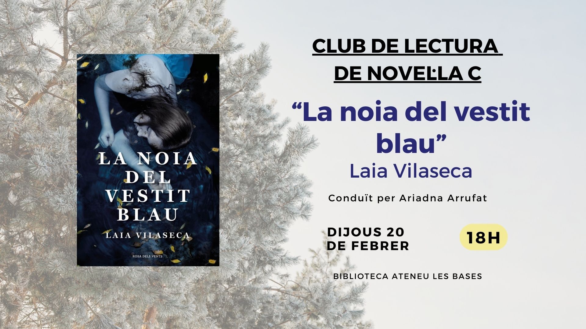 Club de lectura de Novel·la C