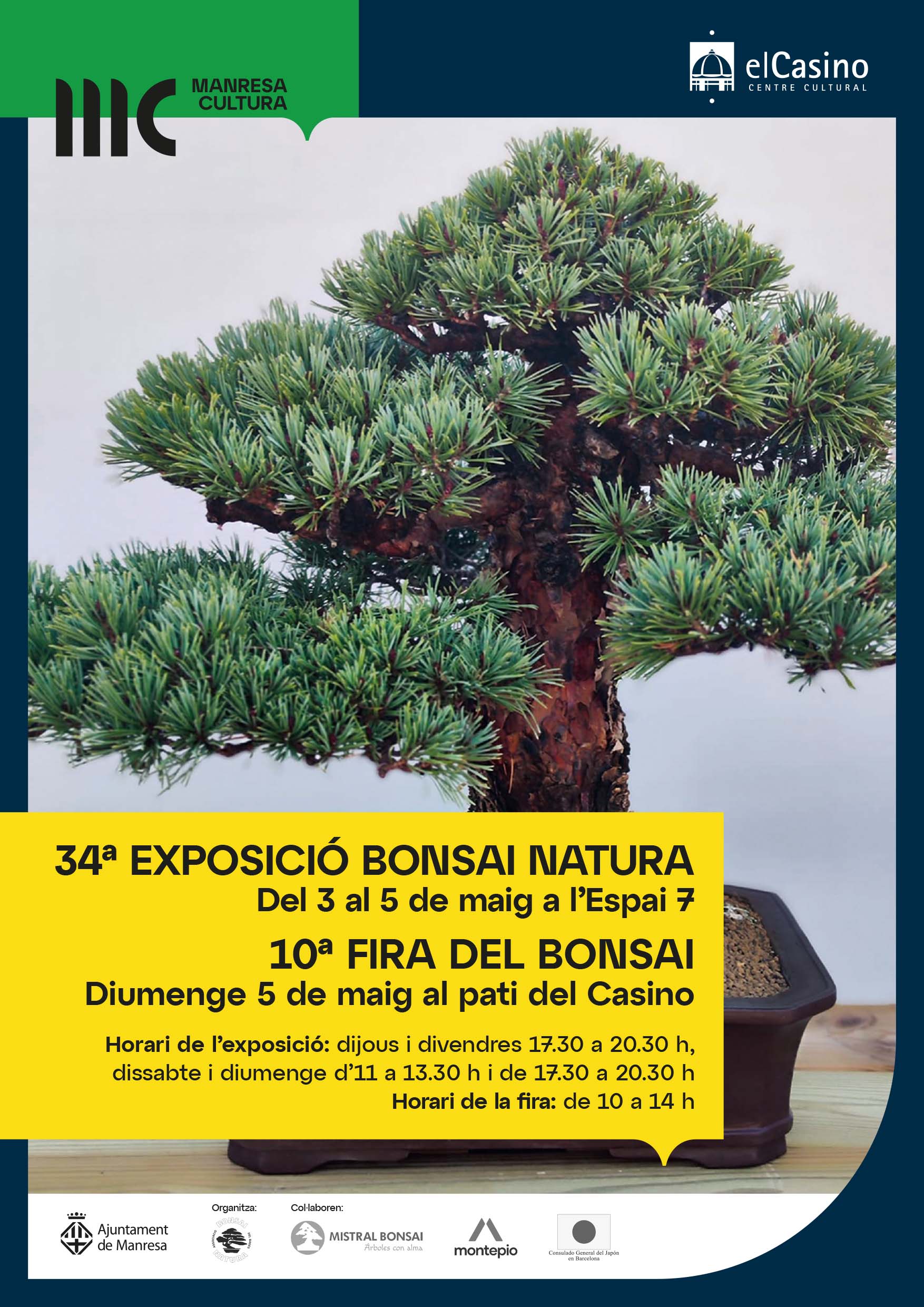 34a Exposició Bonsai Natura