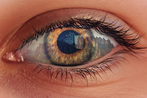 Visita comentada a l’exposició “50 anys de Foto Art Manresa”